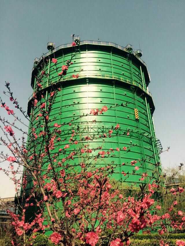 麻豆AV一区二区三区在线观看